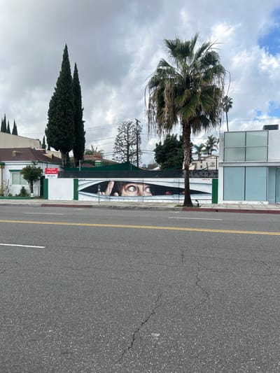 A street scene includes a building with a large mural of a pair of eyes peering through curtains. Palm trees and other greenery line the street. A grey asphalt road with yellow dividing lines runs along the building. The sky is cloudy, adding a muted tone to the scene. The image is rotated 90 degrees.