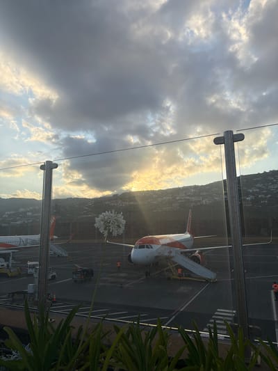 In Santa Cruz, Portugal, an EasyJet airplane is parked on the tarmac under a cloudy sky with the sun peeking through the clouds. The plane, with its orange and white livery, is connected to a set of stairs, and two individuals in orange vests are near the aircraft, possibly ground crew. In the foreground, a glass barrier with metal posts separates the viewer from the scene. A white flower with multiple blooms is positioned to the right of center in the foreground, and lush green plants are visible at the bottom edge of the frame. The background features a hillside covered with houses, characteristic of the coastal landscape. The time of day appears to be late afternoon or early evening, indicated by the low angle of the sun and the dramatic lighting.