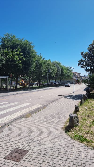 The image depicts a street scene in Castellfollit de la Roca, Spain, on a clear, sunny day. In the foreground, a pedestrian walkway paved with square tiles leads away from the viewer. A metal grate is visible on the walkway. A crosswalk with white stripes marks the transition from the walkway to the asphalt road. The road has lane markings and appears to be in good condition.

Along the left side of the road, there is a bus stop shelter with benches and tables. Beyond the bus stop, a park area is visible with playground equipment, including slides and swings. A line of mature trees with dense green foliage runs along the edge of the park, providing shade.

On the right side of the road, a sidewalk transitions into a grassy area with several large, dark rocks. A street lamp with a modern design stands on the sidewalk. In the background, buildings with red-tiled roofs are visible.

Several cars are parked or driving on the road. One white car is parked near the right side of the road. Two individuals, appearing to be men, are standing near a trash receptacle and a parked car in the middle ground. The sky is a vibrant, clear blue. A small dark object, possibly a bird, is visible in the sky.