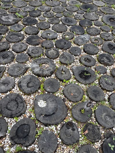 The image shows a pathway constructed from numerous dark-colored, weathered wood rounds laid out on a bed of light-colored gravel. The wood rounds vary in size and diameter, and many exhibit prominent growth rings and natural imperfections such as cracks and hollow centers. Small patches of green grass and weeds are growing between and within some of the wood rounds, suggesting an outdoor setting. This pathway is located in Pavlovskaya Sloboda, Russia. There are no people or animals visible in the image. The overall scene depicts a rustic and naturalistic garden or pathway design.