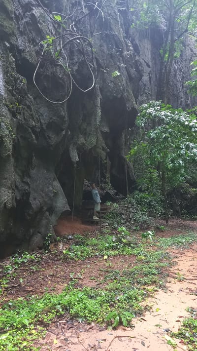 A man stands at the edge of a cave in Ban Pak Ra, Thailand. The cave entrance is surrounded by lush vegetation and exposed rock formations. The ground is muddy, with a small path leading into the cave. A rope is visible, extending from the trees into the cave entrance.