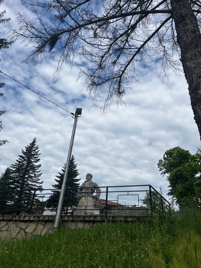 The image depicts an upward-angled view of an elevated monument and surrounding environment in Kisyovtsi, Bulgaria, under a partially cloudy sky. In the midground, a full-body stone statue of a male figure stands on an elevated platform. The figure, possibly a revolutionary or historical personage, is depicted wearing a hat and what appears to be a uniform or traditional attire, holding an object (possibly a weapon or tool) in its right hand. The platform is bordered by a black metal railing and supported by a retaining wall constructed from irregular, light-colored stones.
To the left of the statue, a slender, metallic utility pole leans slightly, topped with a rectangular black light fixture. A single dark cable extends horizontally from the pole towards the upper left. Behind the statue and pole, several dark green, conical evergreen trees are visible, along with parts of white buildings featuring reddish-brown tiled roofs. The immediate foreground is dominated by tall, unkempt green grass and various herbaceous plants.
The upper portion of the frame is filled with a blue sky partially obscured by scattered white clouds. Leafless, intricate branches of a large deciduous tree extend from the top left and top right, with a thick tree trunk visible along the far right edge of the frame. A green leafy tree is also present in the mid-right. No human figures are actively present in the scene, apart from the statue.