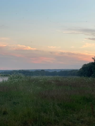 This media file shows a vertical landscape view of a rural scene at dusk, likely in Coșnița, Moldova. The image is oriented sideways, making it appear as if the sky is on the left and the land is on the right.

The left side of the image is dominated by the sky, which transitions from a pale blue at the bottom to soft pink and orange hues near the horizon. Wispy clouds are visible, catching the last light of the setting sun. A few small, dark specks are scattered across the sky, possibly insects.

The right side of the image depicts a dense, dark green tree line that borders a grassy field. The field is covered in tall grass and dotted with small white flowers, suggesting a natural, uncultivated area. In the distance, beyond the trees, layers of hazy hills are visible, fading into a pale blue. A sliver of water or a road can be seen at the bottom edge of the tree line.

The overall mood is tranquil and serene, characteristic of a peaceful evening in the countryside. The soft lighting and natural elements evoke a sense of calm and natural beauty. There is no visible text in the image.