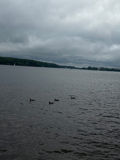 The image captures a wide view of Klyazma Reservoir in Russia under a heavily overcast sky. The water surface is dark and rippled, with several ducks swimming in a scattered formation in the foreground. In the middle ground, a line of dark green trees borders the reservoir, forming a dense treeline. Further in the distance, small white sailboats and at least one motorboat are visible on the water, suggesting recreational activity. The overall atmosphere is somber and muted due to the thick cloud cover.