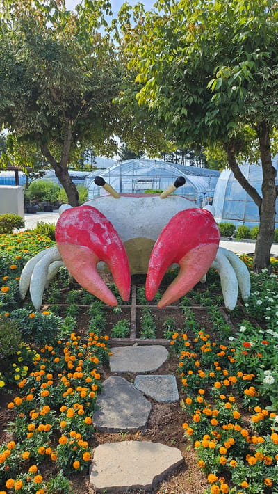 In Cheokbeonjeong-ri, South Korea, a large, stylized crab statue stands prominently in a garden setting. The crab statue is predominantly white with large, red claws tipped in pink. Two yellow stalks with black tips protrude from its head, resembling eyes. The statue is surrounded by a vibrant display of orange marigolds and some white flowers. Stone pavers create a path leading towards the crab. In the background, several greenhouses are visible, suggesting a horticultural or agricultural context. Trees with green foliage frame the scene, and the sky is a clear blue. The environment appears to be a park or an outdoor exhibition area.