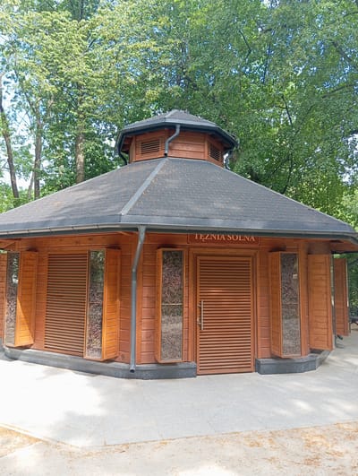 The image shows a hexagonal wooden building with a dark, shingled roof and a gutter system. The building has several slatted wooden doors or shutters, some of which are open, revealing glass panels filled with what appears to be dried vegetation. A metal handle is visible on one of the doors. Above one of the doors, a sign reads "TĘŻNIA SOLNA" in dark lettering. The building is set against a backdrop of lush green trees, suggesting an outdoor, possibly park-like setting. The ground in front of the building is paved with light-colored stone. The scene is brightly lit, indicating it was taken during the daytime. This structure is located in Branicki Park in Białystok, Poland, and it is a salt graduation tower.