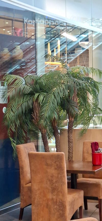 This media file depicts an indoor scene, likely a cafe or restaurant, with a focus on artificial palm trees and seating. The **subjects** are the palm trees, which appear to be artificial due to their uniform appearance and the context of an indoor setting. Three prominent palm trunks are visible, with lush green fronds fanning out. The **setting** includes modern seating made of a tan, textured material, possibly leather or a similar upholstery. Two chairs are partially visible, one in the foreground and another slightly behind it. In the background, a large glass facade reveals an indoor environment with escalators and architectural elements, suggesting a commercial building like a shopping center or a modern public space. A red holder with what appear to be napkins or cutlery is visible on a surface next to one of the chairs. The **activity or event** is not overtly depicted, suggesting a static or waiting moment.

Notable details include the reflection on the glass facade, which shows more of the interior structure of the building, including what looks like stairs or escalators and possibly some signage. The lighting appears to be artificial, creating a bright, well-lit environment, and does not provide cues for time of day or weather. The **location cues** are limited to the general architectural style of the building behind the glass. No specific emotions are conveyed by the static elements.

Visible text includes the word "Kallio" on the glass facade, which is a district in Helsinki, Finland, but given the provided location context of Lahti, this might be a brand name or unrelated text. There is also some fragmented text at the bottom of the frame, but it is largely illegible.