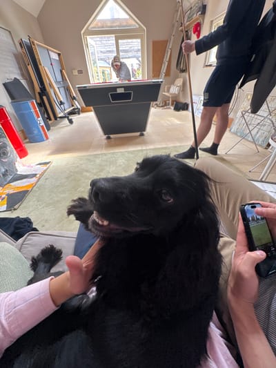A black dog is sitting on the lap of a person wearing a pink shirt. The dog is looking directly at the camera. The person is petting the dog with their left hand. To the right of the dog is the person's right hand holding a smartphone. The person's right leg is visible, clad in khaki pants. There is a pool table in the background, and a man wearing a black hoodie and black shorts, is using a cue stick to aim at a white ball. The man has his back turned to the camera, but he can be seen in a doorway behind the pool table. Another man is standing behind the pool table, but only his head can be seen. The room is in a house in Sand Hutton, United Kingdom (latitude: 54.025, longitude: -0.933). The walls are white, and the floors are covered with a beige carpet. There is a window in the background that is letting in natural light. The image was taken from a slightly low angle.