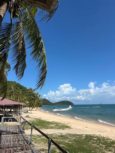 The image depicts a tropical beach scene in Pakhlok, Thailand. In the foreground, a wooden structure with a thatched roof and bamboo seating area is visible, with a metal railing in front. Palm trees with lush green fronds hang over the scene, obscuring parts of the bright blue sky. A red-roofed open-air pavilion with tables and chairs is situated on the sand behind the foreground structure.

The sandy beach stretches towards the turquoise ocean, where gentle waves lap the shore. A white speed boat with blue accents is moored in the water, and another smaller boat or jet ski is in motion further out. Several people are visible on the beach and in the water, some wading and others appearing to relax. In the background, a verdant, tree-covered island rises from the sea under a partly cloudy sky. The overall atmosphere is one of a sunny, relaxed day at a coastal resort.