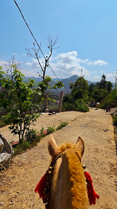 View from horseback on a rural road in Bắc Hà, Vietnam. A light-brown horse with red fringed tack faces away from the viewer. A concrete road stretches uphill with a cement structure and fenced-in yard on the left. Two figures on foot and a white horse ascend the path. Mountains are visible in the background under a bright blue sky with scattered clouds. A bare tree extends into the sky, crossed by a power line. Vegetation is visible on either side of the road.