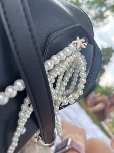 The image is a close-up shot of a black leather bag with a pearl-beaded charm hanging from it. The charm features a small white starfish. The background is blurred, showing a grassy area with people in the distance, suggesting an outdoor setting like a park or picnic area. The lighting appears to be natural daylight. No specific details about Bürgstadt, Germany are visible in the image itself.