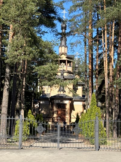The image captures a side view of a Russian Orthodox wooden church, partially obscured by pine trees, situated in Pesochny, Russia. The church features tiered architecture with a central dome and several smaller cupolas, each topped with Orthodox crosses. The building is constructed primarily of wood, with a light brown exterior. In the foreground, a metal fence with decorative crosses blocks the view. The setting is a forest of tall pine trees, some of which frame the church and fence. The sky is visible through the trees. One or two people can be seen standing outside the building.