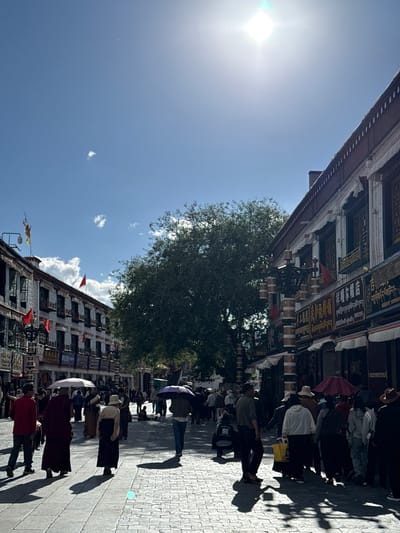 This image captures a vibrant, sunlit street scene in what appears to be a Tibetan cultural area, specifically Chengguan District, China. The perspective is from the street level, looking down a bustling thoroughfare flanked by traditional buildings.
**Subjects & Scene:** Numerous people are visible walking along the paved street, which features light-colored interlocking stones. The crowd consists of a mix of individuals, some wearing traditional maroon robes, possibly monks or devotees, and others dressed in modern casual clothing. Several people carry umbrellas, likely for sun protection. On either side of the street stand multi-story buildings showcasing distinct Tibetan architecture, characterized by ornate wooden balconies, intricate window frames, and decorated facades. The building on the right (when viewing the image in its correct upright orientation) is particularly notable for its many cylindrical prayer wheels mounted along the lower level, interspersed with small red flags. A large, leafy green tree stands prominently in the middle of the scene, its foliage contrasting with the architectural elements.
**Activity or Event:** The primary activity involves people walking and congregating along the street, suggesting a busy daily life, possibly mixed with commercial or religious activities, given the presence of prayer wheels. The overall scene conveys a sense of peaceful movement and cultural immersion.
**Notable details:** The time of day appears to be mid-morning or early afternoon, marked by exceptionally bright sunshine that creates a strong sunflare on the upper left and casts long, distinct shadows of the people and buildings onto the pavement. The sky is a clear blue with a few small white clouds. The traditional architecture, prayer wheels, and cultural attire are strong indicators of the location's unique identity.
**Visible text:** The facades of the buildings are adorned with decorative panels and signs featuring text in a script that strongly resembles Tibetan. While specific words are not decipherable due to the resolution and distance, the presence of this script contributes significantly to the scene's cultural context.