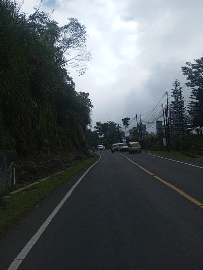 This image depicts a two-lane asphalt road curving gently to the left in Thotagamuwa, Sri Lanka, under an overcast sky. The road features a solid white line delineating the left shoulder and a broken yellow line separating the two lanes. To the left of the road, a steep, dark green hillside rises abruptly, densely covered with varied foliage, including tall grasses and trees. To the right, beyond a narrow shoulder, a series of utility poles with numerous overhead power lines are visible, accompanied by multiple rectangular signs attached to the poles and further trees, including several conifer-like specimens. A line of vehicles is present on the road, receding into the distance, including at least two white vans, one yellow compact truck or van, a motorcycle with a rider, and additional lighter-colored vehicles further beyond. No pedestrians are visible. The sky is uniformly light grey, indicating full cloud cover.