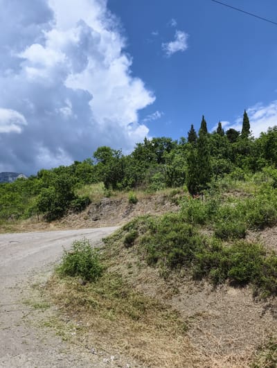 This is a vertical, eye-level, medium shot of a dirt road winding up a grassy hill on a sunny day. The road is on the left side of the frame, curving towards the top right. The hill is covered in dry grass and green shrubs, with a few trees scattered on the slope. In the background, there is a dense forest of green trees on top of the hill, with a few tall, slender cypress trees standing out. The sky is bright blue with fluffy white clouds and some darker, more ominous clouds in the upper left. A thin black wire runs across the top of the frame. The scene is likely located in Lazurnoe, Ukraine, as indicated by the landscape and vegetation typical of the region. There are no people or animals visible in the image.