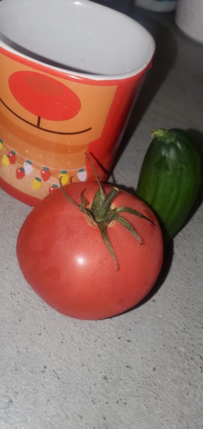 In Sasbach, Germany, a close-up photograph captures a single ripe tomato and a small green cucumber resting on a textured gray surface. Behind the produce, partially visible, is a portion of a red and orange mug decorated with a cartoon face and string lights. The lighting suggests an indoor setting, possibly a kitchen counter, with subtle water droplets visible on the mug's surface, indicating recent washing or condensation. The focus is sharpest on the tomato, highlighting its smooth skin and the green stem.