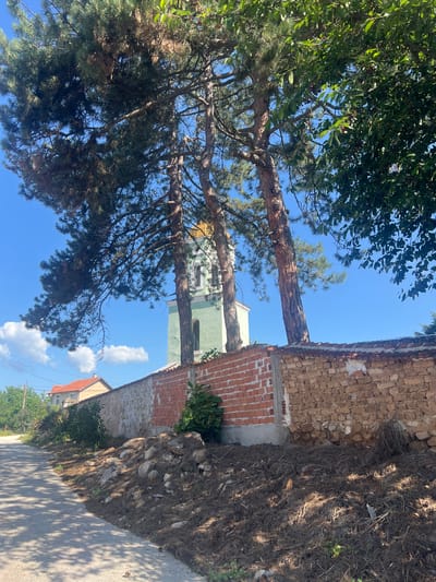 The image depicts a street scene in Zelenikovo, Bulgaria, on a sunny day. The foreground shows a paved road with dappled sunlight, leading towards a stone and brick wall. The wall is partially constructed with red bricks and partially with rough-hewn stones, with debris and dry vegetation piled along its base. Behind the wall, a light green church tower with a gold-colored dome is visible, partially obscured by tall pine trees. The pine trees have lush green needles and their branches extend over the wall and road. Further in the background, a house with a red-tiled roof can be seen. The sky is clear blue with a few scattered white clouds. There are no people visible in the image.