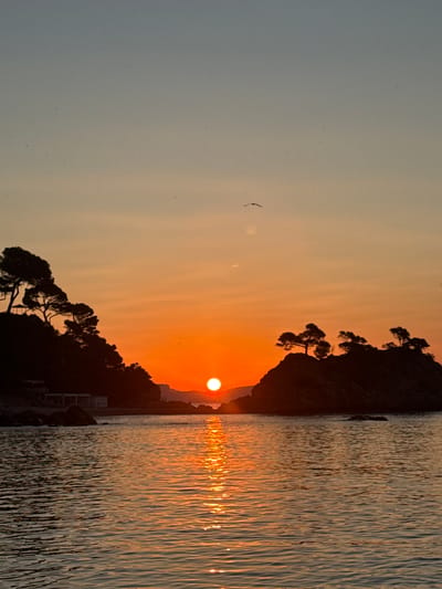 A vertical, full-frame, eye-level shot captures a serene sunset over the Mediterranean Sea in Platja d'Aro, Spain. The sun, a brilliant orange orb, is positioned just above the horizon, casting a shimmering golden reflection on the rippling water. Silhouetted against the warm hues of the sky are two rocky islets, each topped with a cluster of pine trees. The islet on the left features a small, dark structure at its base, partially obscured by rocks. The sky transitions from a pale blue at the top to a vibrant orange near the horizon, with a single bird in flight visible in the upper portion of the frame, and a faint contrail stretching across the sky. The foreground is dominated by the calm sea, with subtle waves creating patterns of light and shadow. The overall mood is tranquil and picturesque.