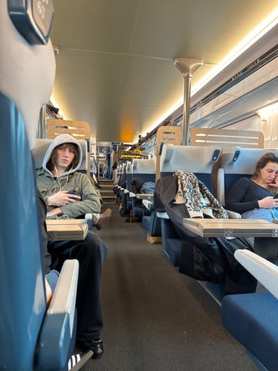 Inside a train, two individuals are reclining in adjacent seats. The first is a fair-skinned woman wearing a black shirt and blue jeans. Behind her, someone with light skin, longer hair, and a hooded jacket rests, holding a phone and wearing earphones. Baggage, including a leopard-print item and a dark jacket, is piled on seats. Other passengers are seen further down the train car.