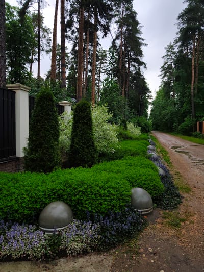 The image depicts a street in Kratovo, Russia. A dirt road with puddles extends into the distance, lined with tall trees on both sides. On the left, a well-maintained garden borders a fence, featuring a variety of plants including tall evergreen shrubs, trimmed hedges, and flowering ground cover. Large, spherical concrete objects are placed along the garden's edge. The sky is overcast, suggesting recent or impending rain. No people are visible in the image.