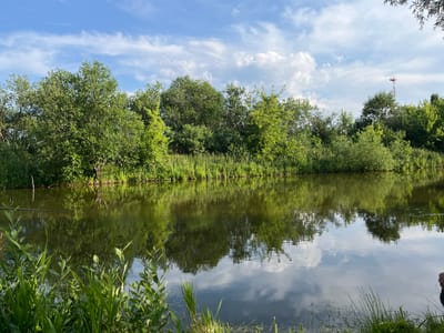 The image depicts a serene natural scene in the village of Surovatikha, Russia. A calm body of water, likely a river or lake, occupies the lower half of the frame, reflecting the lush green trees and vegetation that line its banks. The sky above is a bright blue, dotted with fluffy white clouds, and in the distance, a red and white telecommunication tower is visible amongst the trees. The foreground features tall, green grass and reeds growing along the water's edge, and a fishing rod is partially visible extending into the water from the left side of the image. The overall impression is one of tranquility and natural beauty.