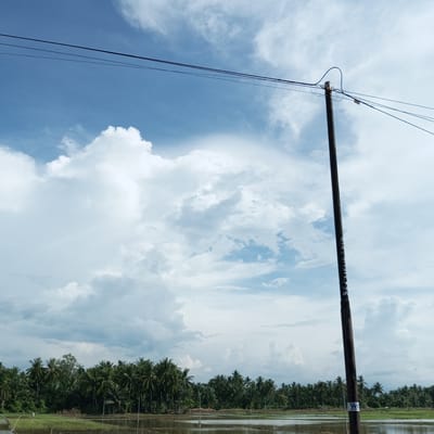 This is a photograph of a rural landscape in Lhokmambang, Indonesia, on a cloudy day. The scene features a prominent utility pole in the foreground, with power lines stretching across the sky. The pole has visible text, including "114488775" and a "WC" logo with "NOISE" underneath, suggesting it's an electrical utility pole.
Beyond the pole, the landscape is dominated by a dense grove of coconut trees, characteristic of tropical regions. In front of the trees, a body of water, likely flooded rice paddies, reflects the sky and the surrounding vegetation. A few small structures, possibly huts or sheds, are visible nestled among the trees. A lone figure, appearing to be a farmer, is present in the distance, walking across a patch of green field near the water.
The sky is filled with large, fluffy white clouds against a bright blue backdrop, indicating a daytime setting. The overall impression is one of tranquility and agricultural life in a tropical environment. The presence of the utility pole and power lines points to the integration of modern infrastructure into this rural setting.