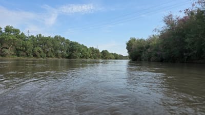 The image depicts a wide, muddy river flowing through a lush green landscape. The riverbanks are lined with dense vegetation, including trees and bushes, with some flowering plants adding touches of purple and pink. In the distance, power lines stretch across the sky, supported by utility poles. The sky is a clear blue with scattered white clouds. The photograph appears to have been taken from a low angle, close to the water's surface, giving a sense of immersion in the environment. The location is identified as the city of Nukus, Uzbekistan. There are no people or animals visible in the image.