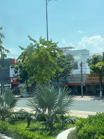 The image shows a street scene in an urban environment, likely in Southeast Asia, with a bright, sunny sky and scattered clouds. In the foreground, there are well-maintained green bushes and two large, fan-shaped palm trees. A paved sidewalk and road are visible beyond the landscaping.
The middle ground features a row of buildings lining the street, displaying various businesses with signs in Vietnamese. One prominent sign reads "Studio" in large English letters. Other signs indicate businesses such as "MI", "QUỐC THẮNG RANG", and "KHANH". Several trees with green foliage are planted along the street, partially obscuring the building facades. A lamppost stands on the right side of the road.
The background shows more buildings and structures, including what appears to be a multi-story building with a modern design and a rooftop structure. The overall impression is a bustling commercial area with a mix of older and newer architecture, set against a clear, blue sky. There are no people clearly visible in the scene.