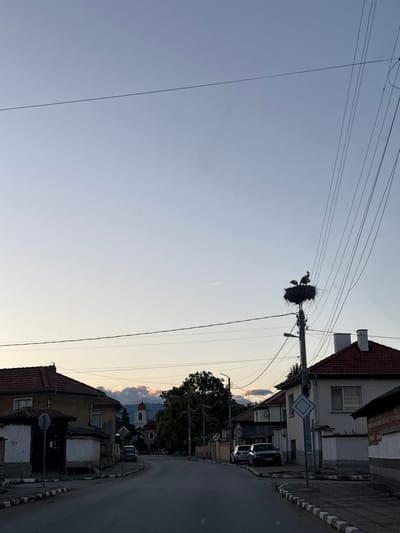 This image depicts a rural street scene in the village of Novo Zhelezare, Bulgaria. The focal point is a telephone pole with a large bird's nest on top, inhabited by at least two storks. The nest is constructed from sticks and twigs. The sky is a pale blue with a faint contrail visible. Power lines crisscross the sky above the street and buildings. The street is paved and curves to the right. On the left side of the street, there are houses with red tile roofs. On the right side, there are more houses, also with red tile roofs, and some parked cars. In the distance, a church with a red-domed steeple can be seen. The overall lighting suggests it is either early morning or late evening.