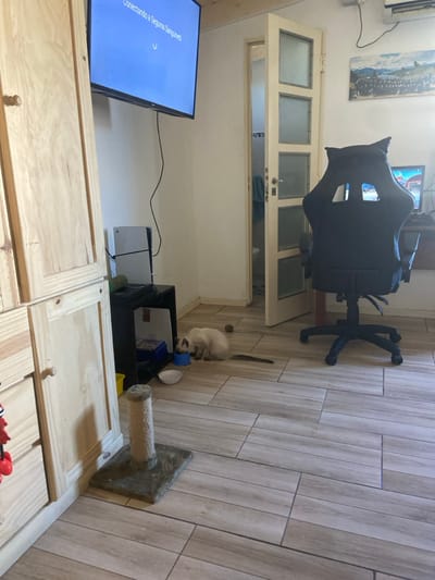 An off-center view shows a room with a dark gaming chair and a tiled floor. A light-colored cat eats from a blue bowl near a black container and a scratching post. On the left, a TV is mounted above a wooden cabinet, with a white game console beside it. A white door with glass panes is partially visible in the background.