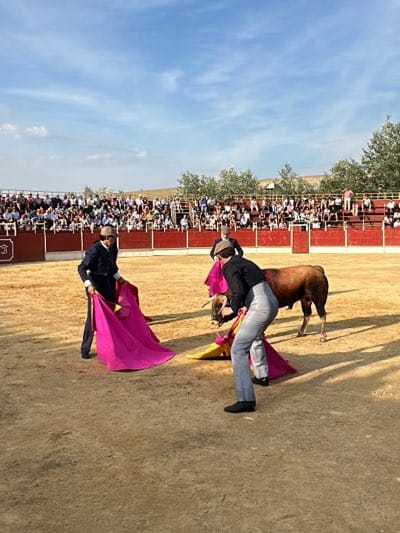 The image depicts a bullfight scene in San José del Valle, Spain. Two matadors are positioned in the arena, each holding a pink cape, facing a brown bull. The arena is filled with sand, and behind a red barrier, spectators watch from tiered seating. The sky is blue with scattered clouds, and trees are visible in the background.