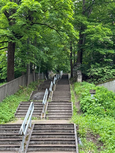 This image captures a steep, multi-flight outdoor stairway ascending a heavily vegetated slope in Lappeenranta, Finland. The stairs are constructed from worn concrete or stone, showing signs of age, with dirt and minor vegetation growth in crevices. Each flight features light blue-grey metal handrails, a central concrete divider, and individual risers and treads.
To the left of the stairs, a wooden picket fence runs uphill, separating the steps from a dense grove of tall deciduous trees with vibrant green foliage. Between the fence and the tree trunks, a thick undergrowth of green plants and grass covers the ground. A tall streetlamp with a light fixture is visible behind the fence near the upper section of the stairs, and two light-colored benches are positioned further up the slope, behind the fence.
To the right of the stairs, the slope is also densely covered with lush green vegetation, including various plants, grasses, and shrubs. Further up, a series of aged, stone-built pillars or a retaining wall structure is partially visible amidst the foliage, transitioning into a plain concrete wall higher up. Another utility post or lamp base is discernible near the bottom right. The background is dominated by a canopy of green trees, suggesting a park or forested area at the top of the incline. No individuals are present in the scene. The overall lighting suggests an overcast day.
