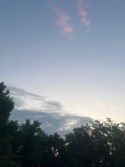 The image depicts a twilight sky over the city of Zviahel, Ukraine. Silhouetted trees form the lower border of the frame, their dark foliage contrasting with the pale sky. Wispy clouds are present in the upper and mid-sections of the sky, with a few tinged with a soft pink hue, suggesting the setting or rising sun. The overall atmosphere is serene and quiet.