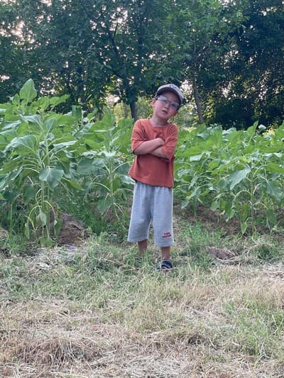 A young boy wearing glasses, a brown t-shirt, grey shorts with "TOMMY HILFIGER" printed on the left leg, and a baseball cap stands in a garden with his arms crossed. He is positioned in the foreground, with tall, leafy plants behind him and a wooded area in the background. The ground in front of him is covered in dry, light brown grass. The scene appears to be outdoors during daylight. The location is the city of Bekabad, Uzbekistan.