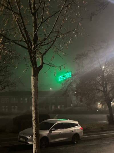 An outdoor night scene, heavily shrouded in fog, depicts a street in Schweinfurt, Germany. The image is oriented vertically, showing elements as if viewed from a low angle or looking upwards slightly.

In the foreground, a large, bare tree branch extends horizontally across the frame, covered with what appears to be a light dusting of snow or frost. Its intricate network of smaller branches and twigs are silhouetted against the misty background. Another, less distinct tree is visible in the upper left.

The midground features a striking, illuminated green neon sign that prominently spells out "SCHWEINFURT". The sign's bright green light pierces through and reflects off the dense fog, casting a vibrant glow across the scene. Below and to the left of the sign, parts of a building with several visible windows can be discerned through the mist.

To the right, a white sedan is parked along the side of what appears to be a road or curb. The car's shape is clear, with its wheels visible, and a red taillight is faintly lit. Above the car, more trees are visible, also bare and partially obscured by the fog. The general atmosphere is quiet and somewhat mysterious, largely due to the widespread fog and the artificial illumination. The bare trees suggest a late autumn or winter setting.
