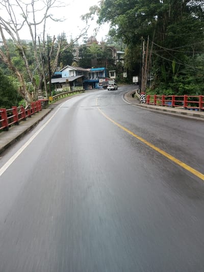 The image depicts a wet, two-lane asphalt road curving to the right through a densely vegetated, hilly environment in the city of YonPhoogla, Bhutan. The road features a solid white line on its left shoulder and a solid yellow center line. Red metal guardrails line both sides of the road, indicating an elevated section or bridge, with a concrete pillar displaying a black-and-white spotted pattern visible on the right.
On the left hillside, a cluster of buildings is observed, including smaller multi-story structures with light blue and white facades. Higher up the slope, a larger, ornate building with a prominent domed roof is partially visible amidst the trees, with faint text resembling "ZUO ZI" on its facade. Bare, intricate tree branches are prominent on the left, contrasting with the lush green foliage and evergreens covering the hillsides. Numerous wooden utility poles with overhead lines are present on the left side of the road.
On the road, a white pickup truck is proceeding around the curve in the right lane, followed by a partially visible larger white truck further down the road. No individuals are visible. The environment appears damp under an overcast sky.