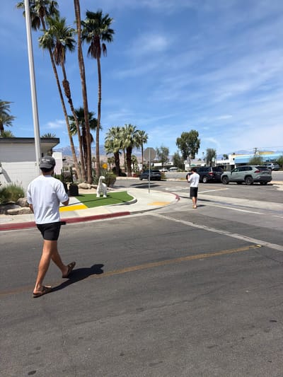 A street scene in Palm Desert, California, United States. A person wearing a white t-shirt, black shorts, and sandals walks along the side of the road, their shadow cast on the asphalt. Palm trees are lined along the street, and in the background, there are mountains. There is also a row of cars parked along the other side of the road, and a person wearing a similar outfit is also walking. A small miniature golf area is visible behind the first person.