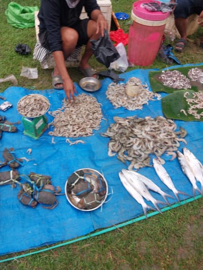 The image depicts an outdoor market scene, likely in Turumame, Indonesia. A person, partially visible from the waist down, is seated on a low platform, wearing dark shorts and sandals. They are interacting with a blue tarp laid out on the ground, which serves as a display for various seafood items.

Dominating the tarp are piles of small shrimp, some of which are contained in a metal bowl atop a green weighing scale. To the left, several dark-colored crabs, bound with blue string, are arranged in clusters. In the lower right portion of the image, a line of several silver-colored fish are laid out. In the background, a large red plastic container with a pink lid and other market-related items are visible, along with green fabric and the grassy ground. The overall impression is a vendor preparing or displaying their merchandise for sale.