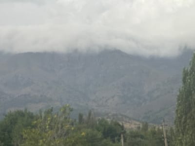 The image depicts a hazy, overcast day with a mountain range shrouded in mist and low-lying clouds in the background. The foreground features a dense collection of green trees and foliage. In the middle ground, the slopes of the mountains are visible, with some evidence of scrub vegetation and uneven terrain. The overall atmosphere is muted and diffused, suggesting either rain or a generally damp and cool climate. The scene is consistent with a natural landscape that could be found in the vicinity of Saylyk, Uzbekistan, a region known for its mountainous terrain and often humid conditions. There are no people or specific structures clearly identifiable in the image. The lighting is flat and diffused due to the heavy cloud cover.