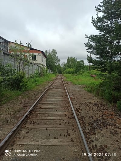 The image depicts a set of railway tracks stretching into the distance, flanked by vegetation and a long, low-rise industrial building with a concrete fence on the left. The sky is overcast. The building appears to be constructed from concrete and brick with some windows. Lush green trees and bushes are abundant on both sides of the tracks, with pine trees visible on the right. Scattered pinecones litter the ground near the tracks. In the background, to the right of the tracks, a rusty cylindrical object lies in the tall grass. The bottom right corner of the image displays a timestamp: "29.06.2026 07:53". The bottom left corner shows text associated with a Redmi Note 8 Pro AI Quad Camera. There are no people visible in the scene.