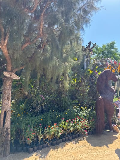 A horse sculpture made of straw stands in front of a lush green floral arrangement in the city of Hoa Thang, Vietnam. The sculpture is dark brown, with a flowing mane and tail. The floral arrangement features a variety of colorful flowers, including pink, orange, and yellow blooms, along with green foliage. In the background, a large tree with feathery leaves overhangs the scene, and a clear blue sky is visible. Several potted plants line the foreground, arranged in a semi-circle around the horse. Two individuals are partially visible on the right side of the image, one wearing a patterned shirt and the other in a white top, holding a water bottle. A burlap sack rests near the horse's hind legs. The ground is sandy with tire tracks, suggesting a pathway or an area that has been traversed by vehicles. The overall impression is a vibrant outdoor display, possibly in a park or garden.