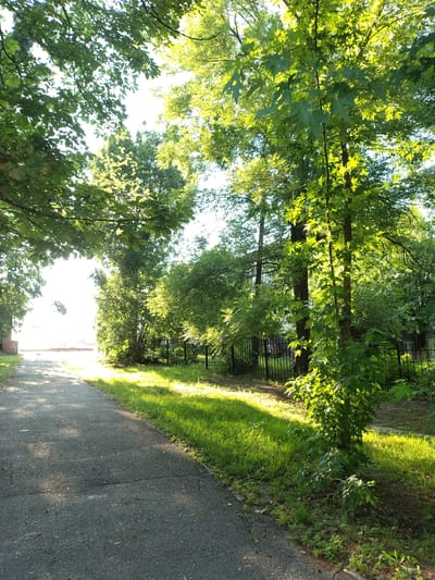 The image depicts a sun-drenched pathway bordered by lush green trees and a black metal fence, suggesting a park or residential area in Ivankiv, Ukraine. The sun casts a warm, dappled light through the leaves of the trees, illuminating the grassy verge and the asphalt path. The time of day appears to be late afternoon or early evening, given the long shadows and the golden hue of the sunlight. There are no people or active events depicted; the scene is tranquil and natural. The pathway is cracked and worn, indicating it has been in use for some time. The vibrant green of the grass and foliage suggests a temperate season, likely summer or late spring. The overall mood is peaceful and serene, with the sunlight creating a welcoming and inviting atmosphere. The backdrop features more trees and hints of buildings beyond the fence, implying a suburban or semi-rural setting. No text is visible in the image.
