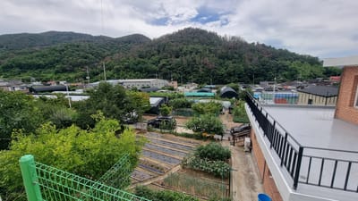 The image depicts a rural scene with agricultural fields and residential buildings, set against a backdrop of a wooded mountain. In the foreground, a green metal fence encloses a lush green area with trees and bushes. Beyond the fence, cultivated fields with raised beds, some covered with black sheeting, are visible. A black SUV is parked on a dirt path. Several greenhouses and smaller buildings are scattered throughout the landscape. In the middle ground, a collection of houses with various roof colors and styles form a small village. A larger industrial-looking building is situated further back. The background is dominated by a steep mountain covered in dense green trees, with some patches of brown suggesting dead or drying foliage. The sky is overcast with a few patches of white clouds. The perspective suggests the photo was taken from an elevated position, possibly a rooftop, overlooking the scene. The architecture and landscape are consistent with a rural area in Miryang-si, South Korea.