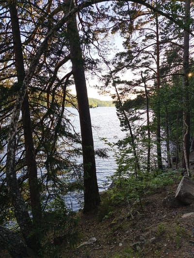 This media file depicts a serene natural scene of a lake in Skriketorp, Sweden. The foreground is dominated by the dense foliage of trees, with their branches and leaves creating a natural frame for the view beyond. A large, textured tree trunk is prominently positioned in the center, its rough bark contrasting with the smoother, lighter bark of a birch tree to its left.
Through the gaps in the trees, a tranquil lake stretches out, its surface rippled by a gentle breeze. The water reflects the soft light of the late afternoon or early evening sky, creating a dappled, shimmering effect. In the distance, the far shore of the lake is lined with lush green trees and a gentle slope, suggesting a forested landscape. The sky above is a pale, clear blue, with hints of warmer tones suggesting the setting sun.
The scene conveys a sense of peace and quietude, characteristic of a natural outdoor setting. The ground in the foreground is covered with fallen leaves, small rocks, and sparse vegetation, indicating a wild, uncultivated area. A large, weathered boulder rests on the right side of the frame, adding to the natural, rugged aesthetic of the terrain. The overall impression is one of natural beauty and tranquility, inviting contemplation and a connection with the outdoors. There is no visible text within the image.