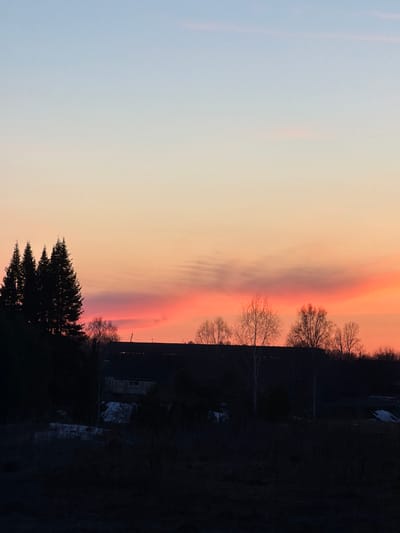 A landscape shot depicts a vibrant sky transitioning from light blue on the left to orange and pink hues. A dark, silhouetted treeline runs across the lower right side of the image. The image appears to have been taken near or in Gory, Russia. Specific locations or identifiers of any people, objects, actions or interactions cannot be determined.