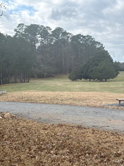 A landscape image featuring a grassy field transitioning into a dense forest under a cloudy sky. A gravel path runs alongside the field, bordered by dead leaves and vegetation on one side. The trees vary in size and density, creating a visual layering effect. The overall scene has a slightly muted color palette, characteristic of a late fall or winter day.