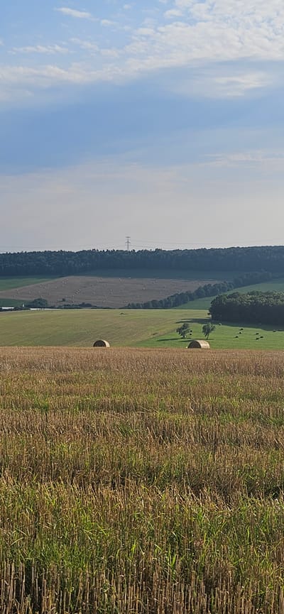 The image depicts a rural landscape, likely in Beňadikovce, Slovakia, under a partially cloudy sky. In the foreground, a field of harvested crops, appearing as stubble and some regrowth, occupies the lower half of the frame. Two large, round bales of hay are visible in the mid-ground, one partially obscured by the harvested field, and another on a grassy slope. Further in the distance, a gently rolling landscape is dotted with more hay bales scattered across fields. A dense line of dark green trees forms a prominent horizon, behind which a tall, modern electricity pylon stands silhouetted against the lighter sky. The overall impression is one of agricultural activity and natural countryside.