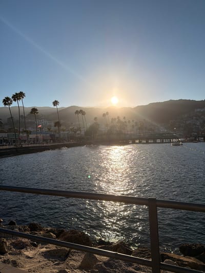 A wide-angle shot captures a sunlit harbor in Avalon, Catalina Island, California, USA. The sun, a bright orb near the horizon, casts a shimmering path across the water. Palm trees line the waterfront, with buildings and hills visible in the background. The foreground features a rocky shore with a metal railing. A boat is docked in the harbor, and a few people are visible on the pier and along the waterfront. The sky is clear and blue.