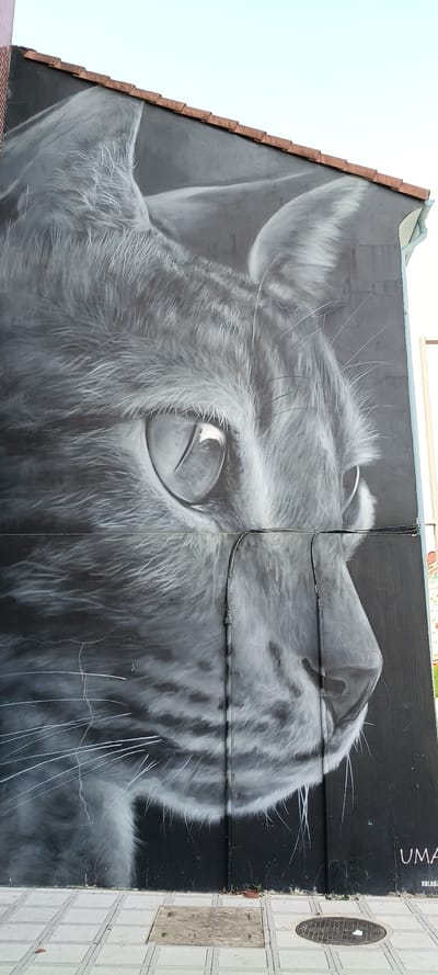 The image is a close-up, grey-scale mural of a cat's face painted on the side of a building. The mural is highly detailed, showing the cat's fur, whiskers, and a prominent eye with a reflective glint. The cat is depicted in profile, facing to the right. The building appears to have a tiled roofline at the top. Electrical conduits are visible running vertically and horizontally across the mural. The mural is situated on a wall above a sidewalk with a tiled pattern and includes two manhole covers. In the lower right corner of the mural, the signature "UMA" and what appears to be "XOLAR" are visible. This mural is located in Lugones/Llugones, Spain, and is a piece of street art.