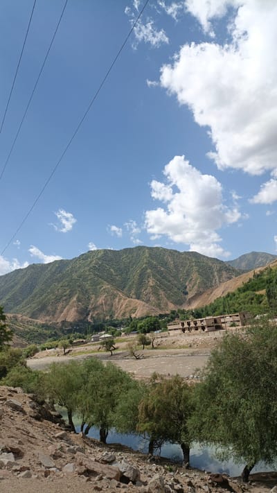 A scenic view of the city of Tavish, Tajikistan, is captured in this image, featuring a majestic mountain range in the background. The mountains, covered in lush greenery, serve as a dramatic backdrop to the tranquil scene. A meandering river flows through the valley, its waters reflecting the clear blue sky and fluffy white clouds. On the riverbank, a cluster of trees adds to the natural beauty of the landscape. In the distance, several buildings, possibly houses or a small community, are visible, hinting at human habitation within this picturesque setting. The sky is a vibrant blue, dotted with white clouds, and several power lines stretch across the frame, suggesting the presence of modern infrastructure amidst the natural splendor. The ground in the foreground is rocky and uneven, typical of mountainous terrain.